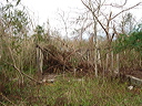 dsc00540